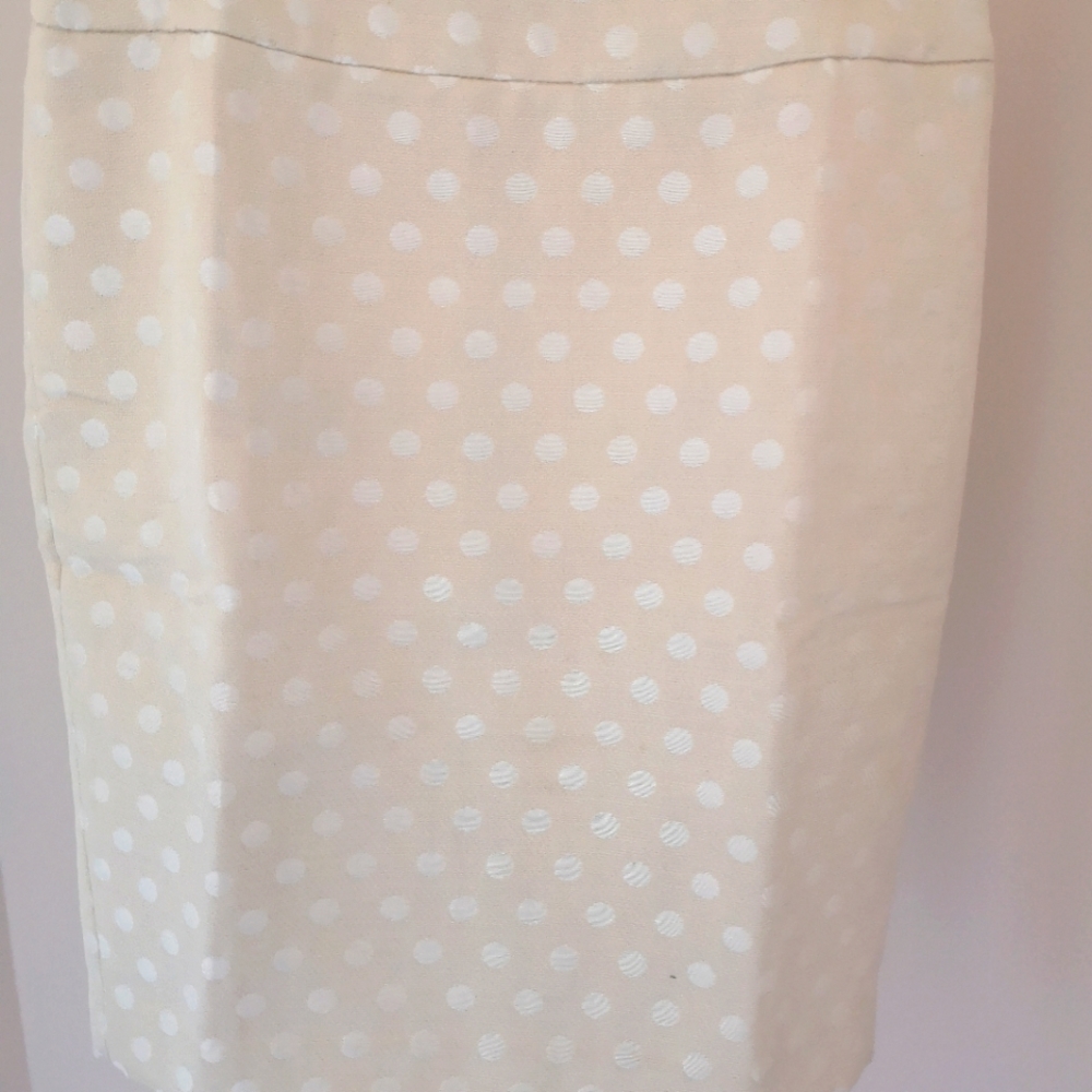 Ann Taylor Cotton Silk skirt